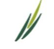 wealthbuddy logo