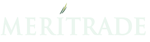 meristem logo
